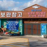 조기구이 부세조기 제사 생선 국내산 참조기 반건조 : 담양세진수산