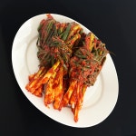 파김치 400g ~ 2kg 주문즉시 만드는 맛있는 국내산 호진이네 수제파김치 : 호진이네