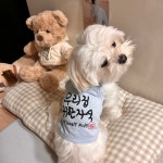 귀한자식 강아지크롭나시 실내 순면 강아지메리야스 민소매 S : 멍베베