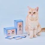 고양이영양제 데일리솔루션 이뮨 스트레스 면역력 미야옹철 김명철 수의사 : 닥터펠리스