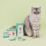 고양이영양제 데일리솔루션 헤어볼 유산균 변비 미야옹철 김명철 수의사 : 닥터펠리스