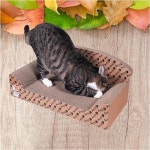 고양이스트래쳐 펫 애완 용품 위드캣 다우니쇼파  스크래쳐 : 쑨짱몰