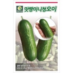다농 맛짱 미니 청오이 씨앗 200립 오이 씨 종자 : 늘품씨앗