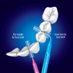 메디넥트 | 픽스터스 호주 치간칫솔 8개입 버라이어티팩 (Piksters) : Nutrident