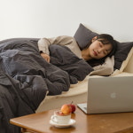 포그니아 스탠다드 고밀도 순면 먼지없는 사계절 차렵이불 SS : 포그니아