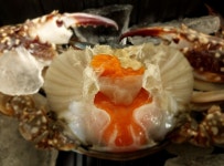 알배기 암꽃게 손질꽃게 1kg 간장게장양념게장꽃게탕 간편조리 : NPOCEAN