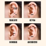 귀혈자리 귀지압 패치 이혈침 이혈테라피 이혈기석 지압스티커 : 마이빈스토어