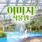 제주 여미지식물원 +낙타트래킹 +조안베어뮤지엄 +족욕체험 / 제주도 가족 여행 이색 관광지 : WEPICK