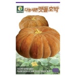 다농 새론 맷돌 호박 씨앗 600립 약호박 씨 종자 : 늘품씨앗