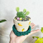 와이키키농장 토끼귀 토끼 선인장 백도선 미니 화분 전자파 실내 귀여운 식물 데스크테리어 : 와이키키 농장