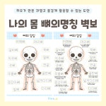 [히오랑] 우리 몸 뼈의 명칭 벽보 나와가족 환경판 환경구성 유치원 어린이집 : 히오랑