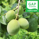 (GAP인증)하동 토종 매실 10kg : 악양꾸러미