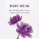 [3+3] 베르블랑 중성 아기세제 리필 3개+섬유유연제 리필 3개 : 베르블랑 VERTBLANC