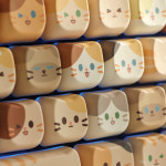 Soulcat 고함량 PBT 고양이 집사 염료승화 영문 키캡 142키 커스텀키보드 교체용 (쫑긋고양이) : 터치플래닛