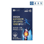종근당 콘도로이친1200 콘드로이친 콘드레이친 1200 콘드로친 관절 연골 엔 60정 : 건강톡톡