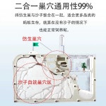 개미집 둥지 모래 별장 투명 여왕 작업장 동물 충남 캐슬 생태 매너 : 외국친구