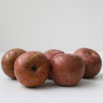 소셜농장 부사꿀 못난이 사과 사이즈별 2kg 3kg 5kg 10kg 가정용 실속형 : 소셜정