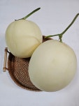 고당도 프리미엄 홈런스타 멜론 5kg[포토리뷰2,900][수신멜론, 하봉남매농장] : 디케이 코퍼레이션