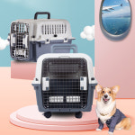 레드퍼피/꾸안꾸켄넬(1호) : REDPUPPY