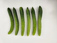 백오이 백다다기 가시오이 1kg 국내산 산지직송 : 센즈마켓