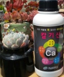 흡수력좋은 킬레이트 종합칼슘제 : 엔케이팜