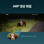 티피링크 VIGI C540-4G LTE CCTV카메라 유심(USIM)카메라 : 세이프네트워크