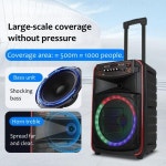 200W 피크 빅 파워 야외 미팅 파티 다채로운 트롤리 베이스 스피커, BT5.0 야외 노래방 무선 사운드, 마이크 2 개 포함 : 영자컴퍼니