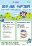 경기도 화성 블루베리 농촌 체험 예약 수확 체험 티라미수만들기 무농약 체험농장 어린이 : 보라마켓boramarket