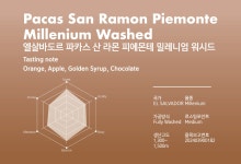 200g 뉴로커피 당일로스팅 원두커피 커피콩 맛있는 싱글 오리진 - 엘살바도르 파카스 산 라몬 피에몬테 밀레니엄 워시드 홀빈 : 뉴로커피