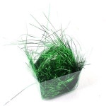 심포니 다채로운 PET 실크 골드 사탕 선물 상자, 수제 장미 8g : 유림 상4