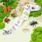 곤충 한살이 성장 북아트 (피규어 포함) : 영농조합법인 에듀팜