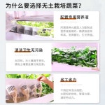 실내 상추 재배기 무토양 수경 식물 채소 재배 키트 : 진테크코리아