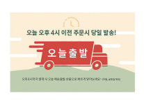 올데이-수50 150회분 안과용 드림렌즈 하드 RGP 일회용식염수 세척액 보습 습윤 헹굼 : 주식회사 셀바이오