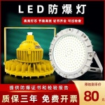 LED 방폭등 야외 선박 항구 야간 작업등 산업용 램프 그레이 (250W 엔지니어링 모델 : 프드리 마켓