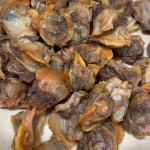 벌교 자숙 꼬막 1kg 꼬막살 새꼬막 25년도 생산 : 농수산물유통