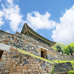 [공주-기차] 6/21 22확정 유구색동수국정원 수국축제 무령왕릉 공산성 국내당일기차여행 : 착한여행6952