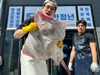 국산 목포홍어 삭힌 산지직송 400g 800g 홍어애 : 수산한 청년