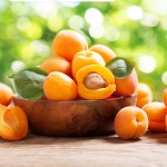 영천 산지직송 살구 특품 1kg 2kg 5kg 옹골찬 가정용 주스용 수제청 만금살구 : 아달달농산