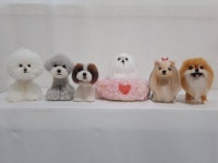 반려동물 양모 미니어쳐 지도사 2급 / 강아지 인형 만들기 / 미니어처 자격증 : 너를 기억해