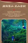 [7-1548] 10년진 2023년 출시 찹쌀향 다화석 쇄은자 맹해고수보이차 숙차 약500g by 대귀 : 운남상회 티다차이