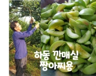 [전통이레식품] 하동 자른 깐매실 짱아찌용 쪼갠매실 800g 1kg : 전통이레식품