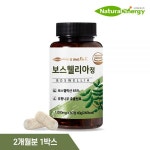 웰핏 2세대 인도산 보스웰리아 정 1000mg : 김마스네