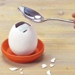 네잎 클로버 키우기 씨앗 화분 농장 재배 크로바 클로바 : 일런드