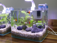 미니어항 풀세트 구피 새우 어항 물고기키우기 : 행복한수족관