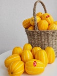성주 참외 가정용 못난이 2kg 3kg 꿀 참외 : 별고을 상회