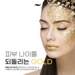 에텔랑 프리미엄 골드 캐비어 앰플 100ml : 바이지애