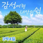 외국인을 위한 제주 웰니스 감성여행 [항공불포함]+내안의쉼+우도 투어 [3박4일][제주베스트빌펜션1박 + 오션그랜드호텔(3성급) 오션뷰 2박... 