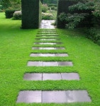 [모야모]  그린카펫 Green Carpet 씨앗 1000립 대포장, 잔디대체 지피식물 : 모야모가든센터