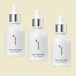 본코리아 엔젤 비타민 앰플 30ml 3개 화이트닝 미백 : 로그인 딜라이트