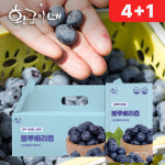 블루베리즙 블루베리 70ml 30포 주스 : 황금이네